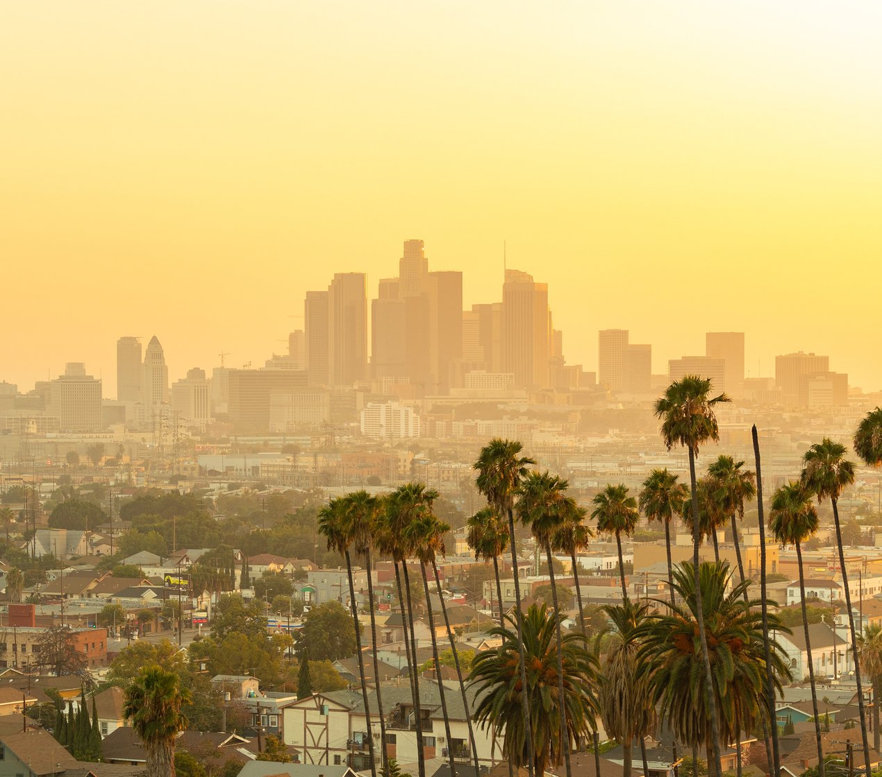 shutterstock_1163687584 (2).jpg