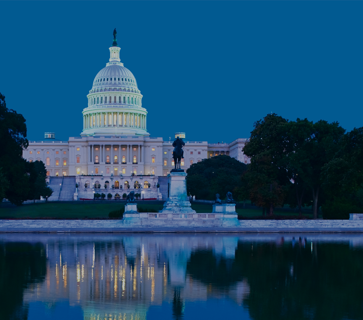 2020.10.20 - RFF live FOCP - Wagtail listing 1.png