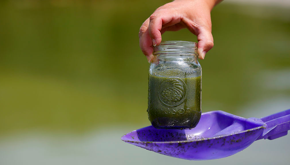 GettyImages-453173398