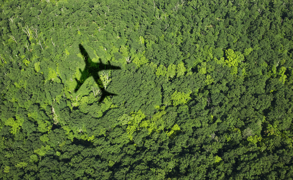 GettyImages-95495228