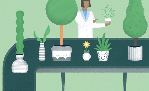 Plant inspections_hero image