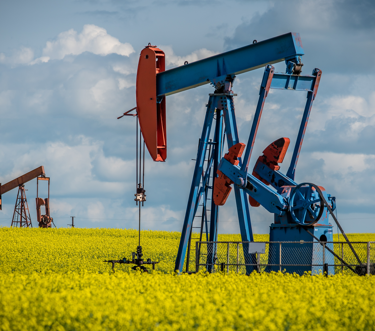 shutterstock_1449214988 (16x9)