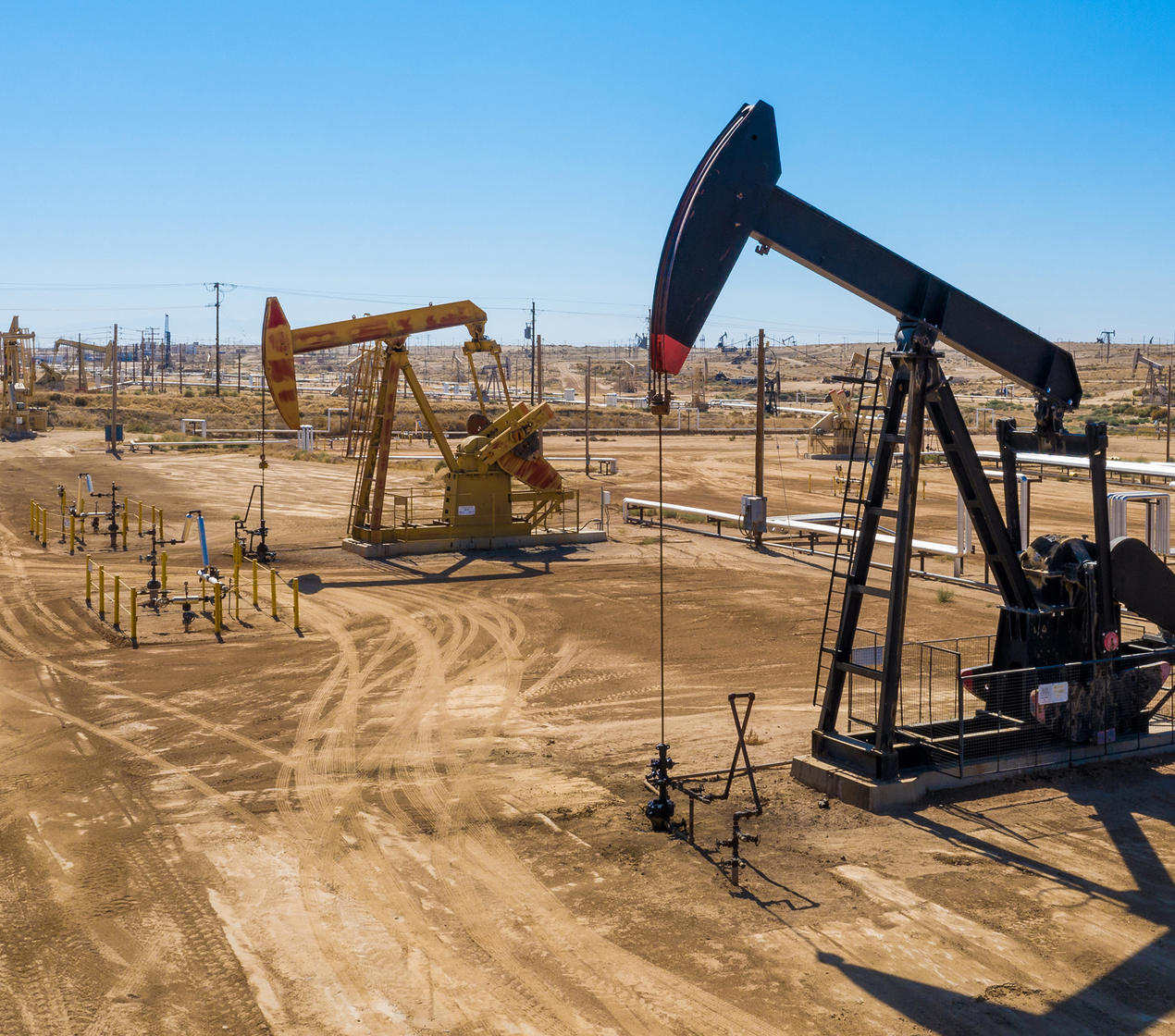 shutterstock_1537761446