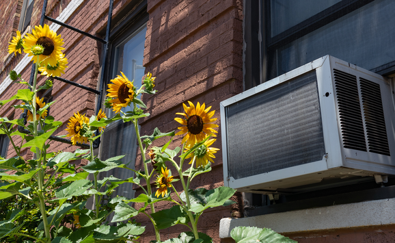 shutterstock_1788917078 (16x9)