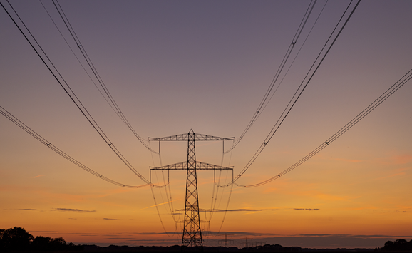 shutterstock_1802926246(1)