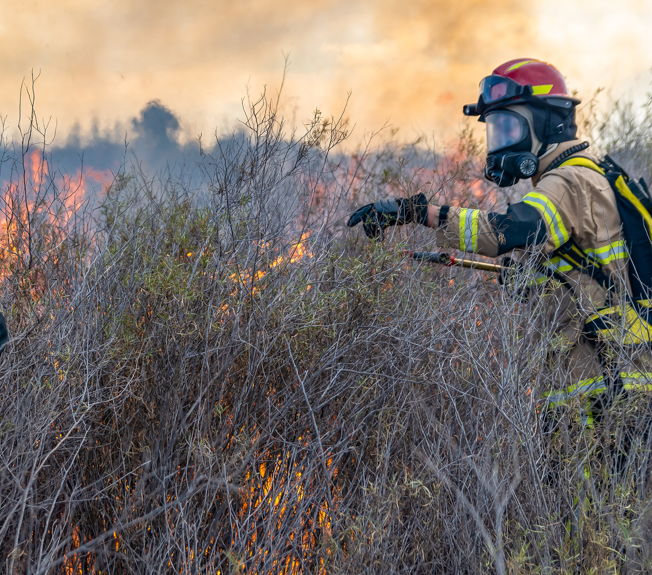 shutterstock_2014320440