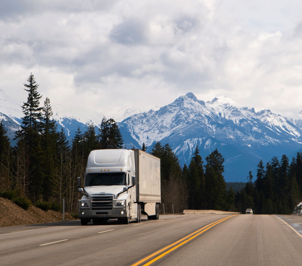 shutterstock_2132261557