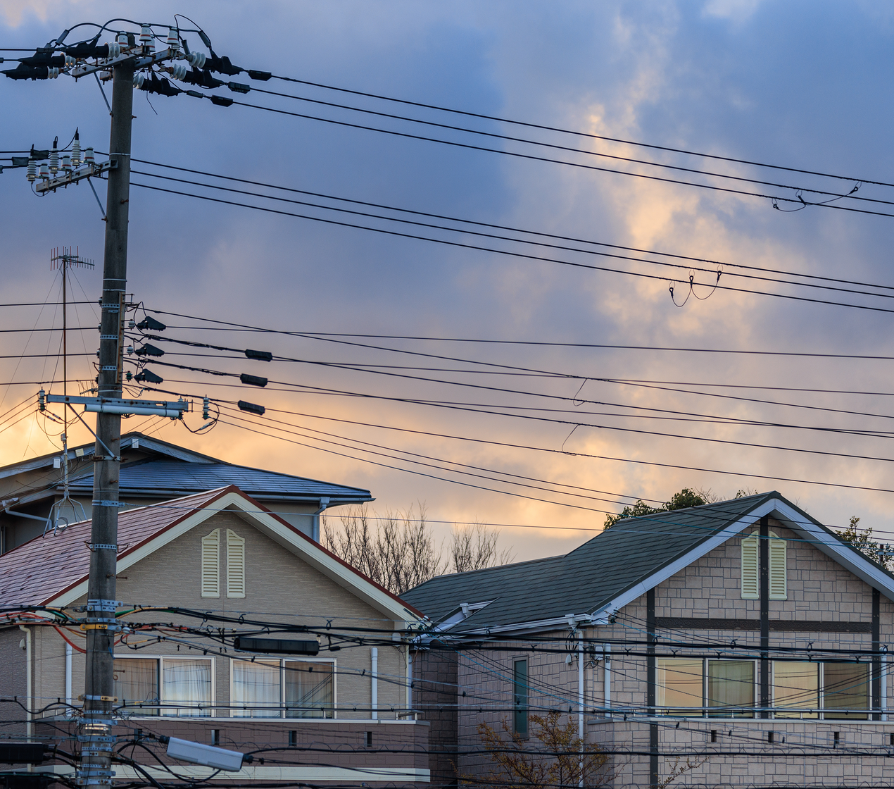 shutterstock_2242039877