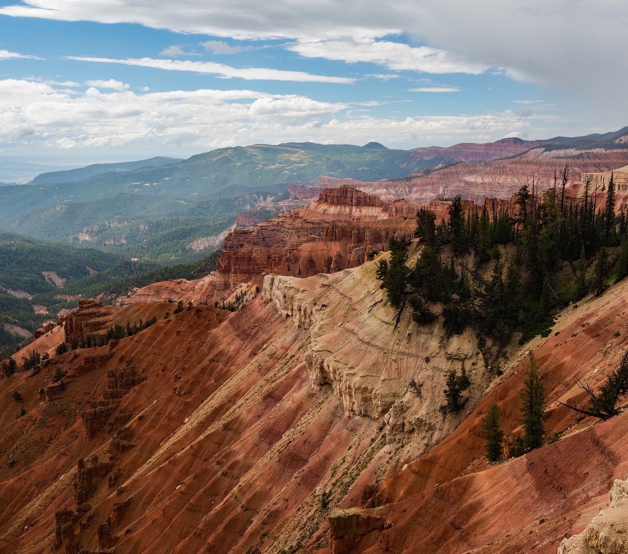 shutterstock_2354447255