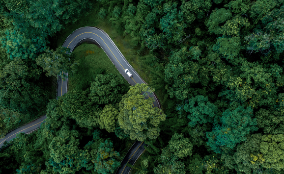 shutterstock_2474458705