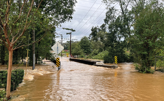 shutterstock_2522957817(1)