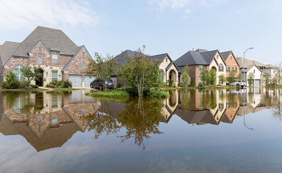 shutterstock_707276641(1)