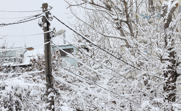 shutterstock_773262775